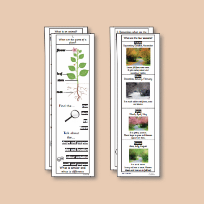 ! Y1 ALL Autumn Science Knowledge Notes KN