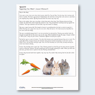 Y1 Reading (Spend It!) Supporting Texts ST