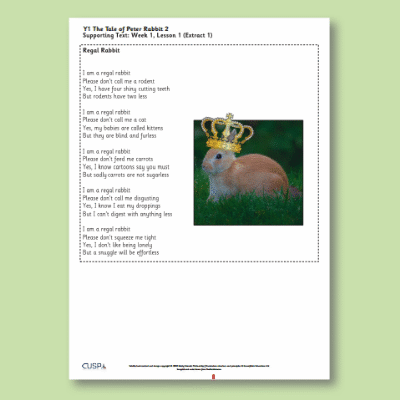Y1 Reading (The Tale of Peter Rabbit 2) Supporting Texts ST