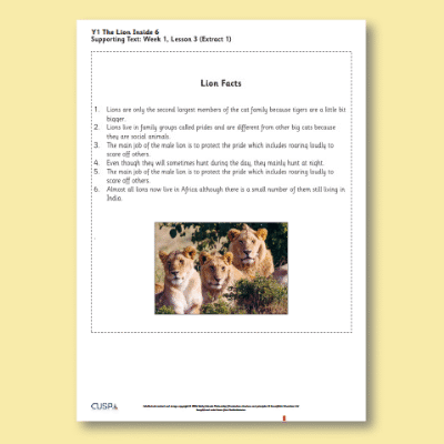 Y1 Reading (The Lion Inside) Supporting Texts ST
