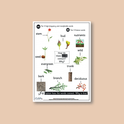 Y1 Science (Revisit: Plants) 1 Word Connections WC
