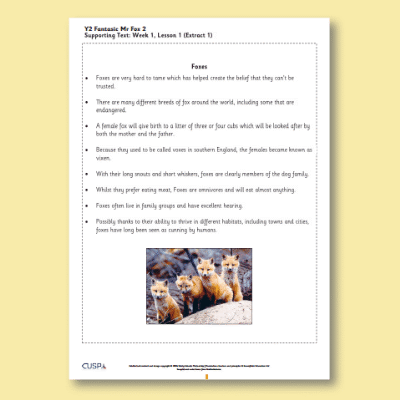 Y2 Reading (Fantastic Mr Fox 2) Supporting Text ST