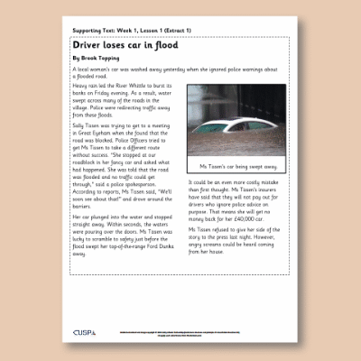 Y2 Reading (The Goose that Laid the Golden Egg) Supporting Text ST