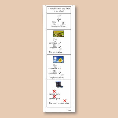 Image of Year 02 Science (Living Things and Their Habitats - Block A) Knowledge Notes CUSP ResourceAccess Autumn 58.5x234mm Printed in Black; 3 Leaf Set in pads of 16