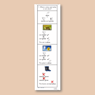 Image of Year 02 Science (Living Things and Their Habitats - Block B) Knowledge Notes CUSP ResourceAccess Autumn 58.5x234mm Printed in Black; 4 Leaf Set in pads of 16