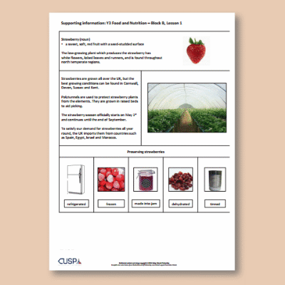 Y3 Design and Technology B (Food and Nutrition) AR3 Supporting Information
