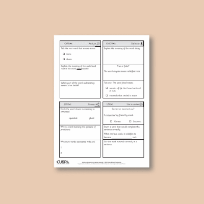 Y3 Science (Rocks) Vocabulary Questions VQ