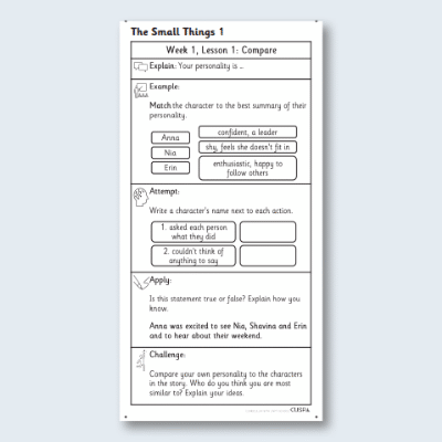 Y4 Reading (The Small Things 1) Knowledge Notes KN