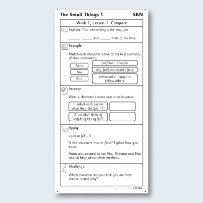 Y4 Reading (The Small Things 1) Knowledge Notes SKN