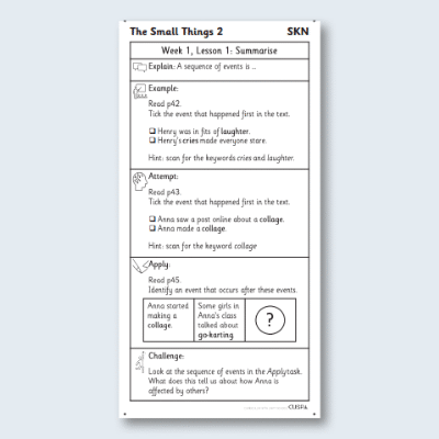 Y4 Reading (The Small Things 2) Knowledge Notes SKN