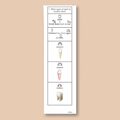 Image of Year 04 Science (Animals, including Humans - Block A) Knowledge Notes CUSP ResourceAccess Autumn 58.5x234mm Printed in Black; 3 Leaf Set in pads of 16