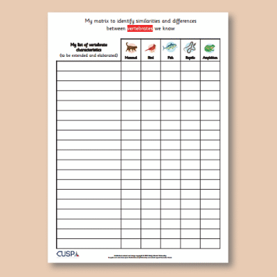 Image of Year 4 Science (Revisit Living Things) AR3 Vertebrates & Invertebrates Matrices Blank CUSP Resource