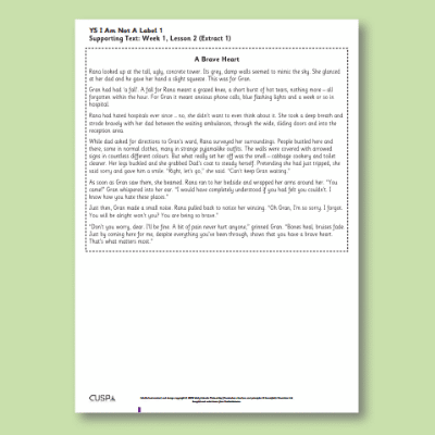 Y5 Reading (I am Not a Label 1) Supporting Texts ST