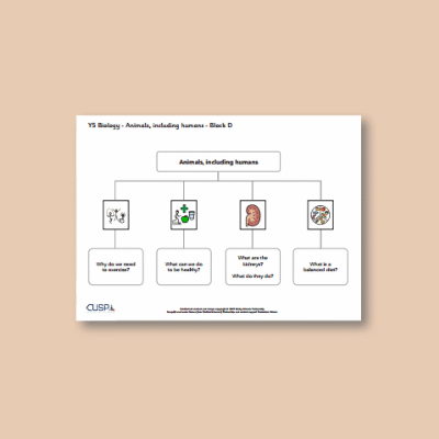 Image of Year 05 Science (Animals, including Humans - Block D) Curriculum Navigator CUSP ResourceAccess Autumn 140x195mm Printed in Black; 1 Leaf Set in pads of 16