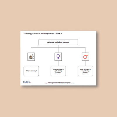 Image of Year 06 Science (Animals, including Humans - Block A) Curriculum Navigator CUSP ResourceAccess Autumn 140x195mm Printed in Black; 1 Leaf Set in pads of 16