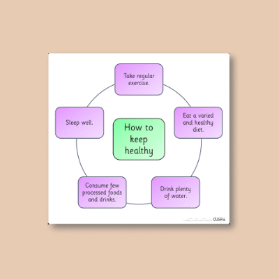 Image of Year 6 Science (Circulatory System) AR2 How to Keep Healthy CUSP Resource