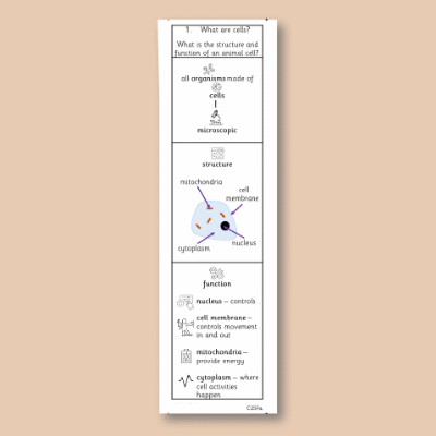Image of Year 08 Science (Cells and Organisation - Block A) Knowledge Notes CUSP ResourceAccess Autumn 58.5x234mm Printed in Black; 2 Leaf Set in pads of 16