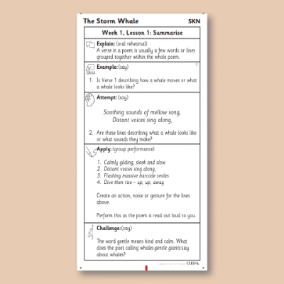 Y1 Reading (The Storm Whale) Knowledge Notes SKN