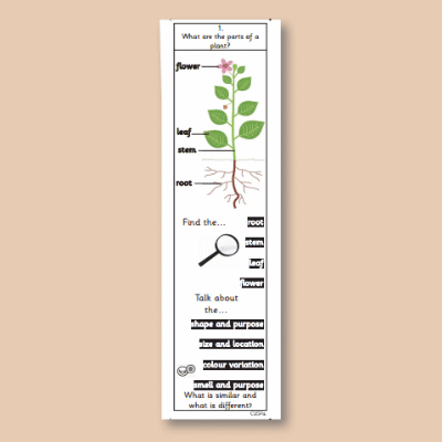 Y1 Science (Plants, including Trees) Knowledge Notes KN