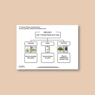 Y1 Science (Revisit: Plants) 1 Curriculum Navigator CN