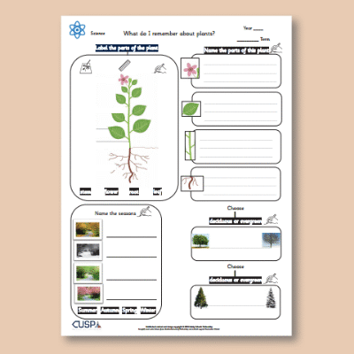 Y1 Science (Revisit: Plants) 1 Knowledge Organiser KO