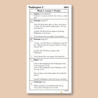 Y2 Reading (Paddington 2) Knowledge Notes SKN