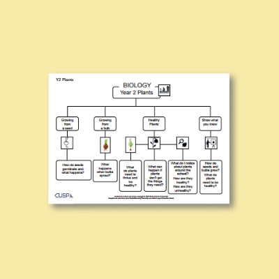Y2 Science (Plants) Curriculum Navigator CN