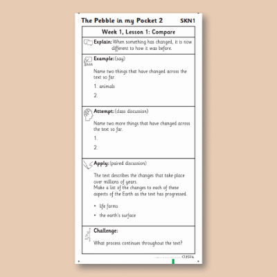Y3 Reading (Pebble in my Pocket 2) Knowledge Notes SKN