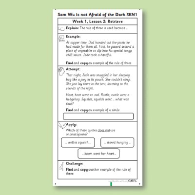 Y3 Reading (Sam Wu is Not Afraid of the Dark 2) Knowledge Notes SKN