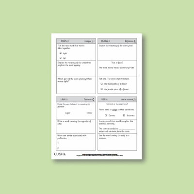 Y3 Science (Plants) Vocabulary Questions VQ