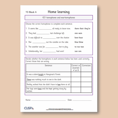 Y3 Spelling Block 04 Home Learning HL