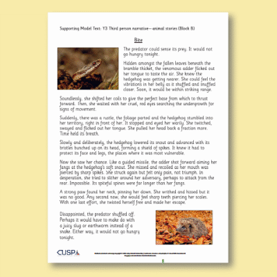 Y3 Writing B (Third Person Narrative: Animal Stories) Supporting Model Text SMT