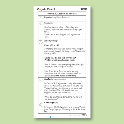 Y4 Reading (Varjak Paw 2) Knowledge Notes SKN