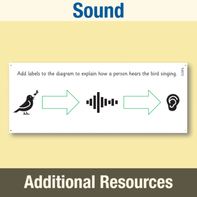 Image of Year 4 Science (Sound) AR The Journey of Sound CUSP Resource