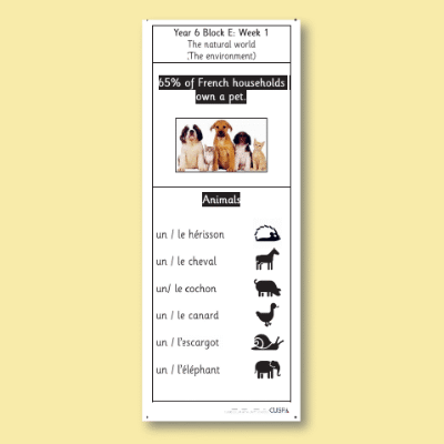 Y6 French E (The Natural World: The Environment) Knowledge Notes KN