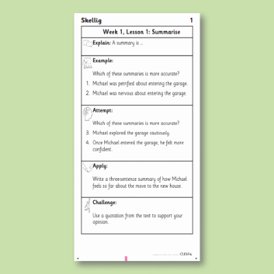 Y6 Reading (Skellig 1) Knowledge Notes KN