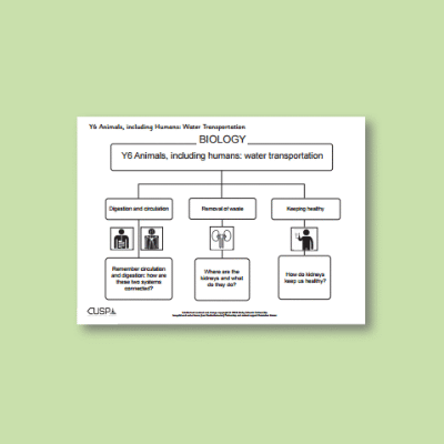 Y6 Science (Animals, including Humans - Water Transportation) Curriculum Navigator CN