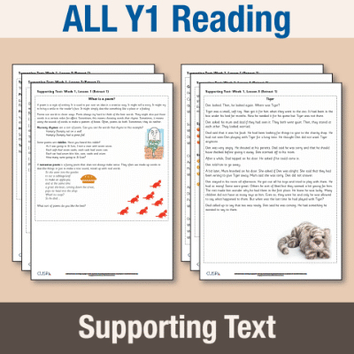 ! Y1 ALL Autumn Reading Supporting Text ST