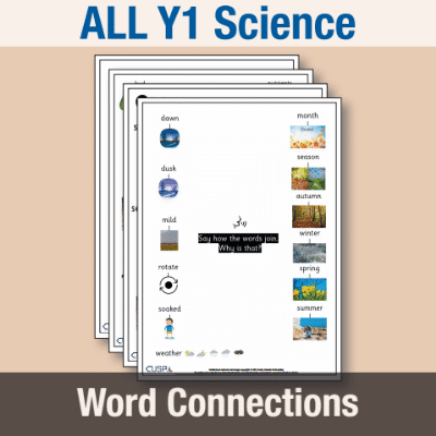 ! Y1 ALL Autumn Science Word Connections WC