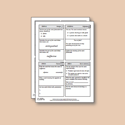 ! Y2 ALL Autumn History Vocabulary Questions VQ