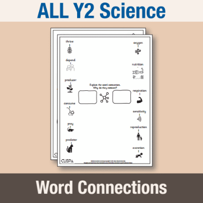 ! Y2 ALL Autumn Science Word Connections WC