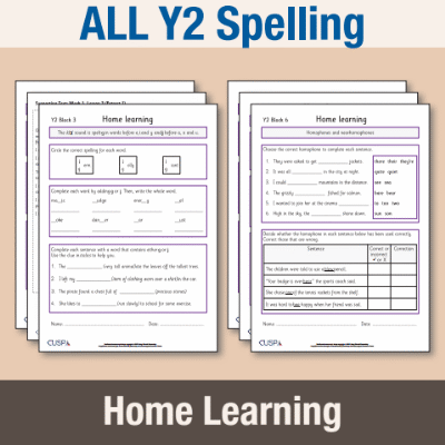 ! Y2 ALL Autumn Spelling Home Learning HL