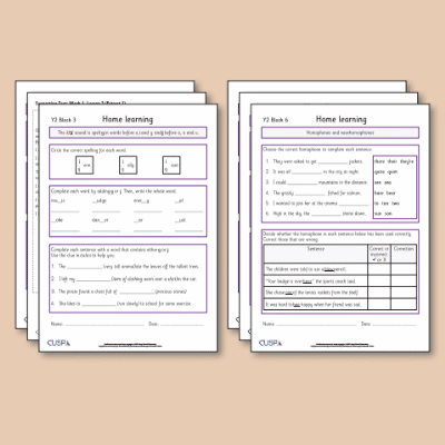 ! Y2 ALL Autumn Spelling Home Learning HL
