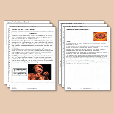 ! Y3 ALL Autumn Reading Supporting Text ST