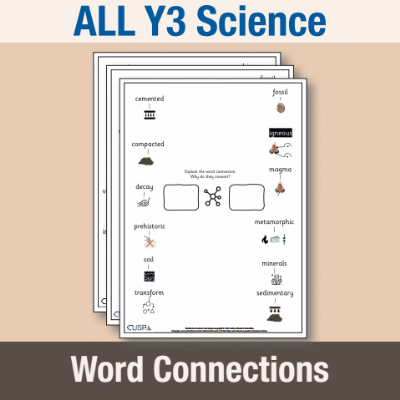 ! Y3 ALL Autumn Science Word Connections WC