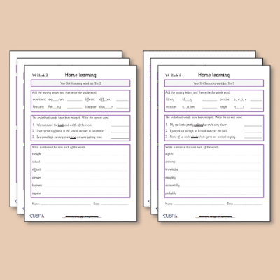 ! Y4 ALL Autumn Spelling Home Learning HL