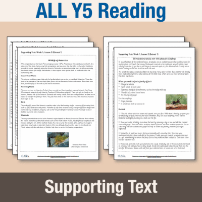 ! Y5 ALL Autumn Reading Supporting Texts ST