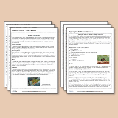 ! Y5 ALL Autumn Reading Supporting Texts ST