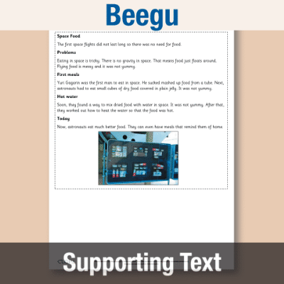 Y1 Reading (Beegu) Supporting Texts ST