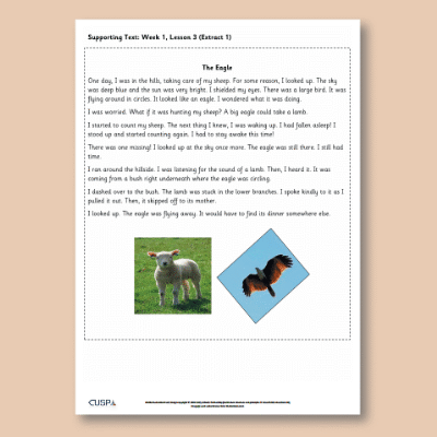 Y1 Reading (The Boy who Cried Wolf) Supporting Texts ST